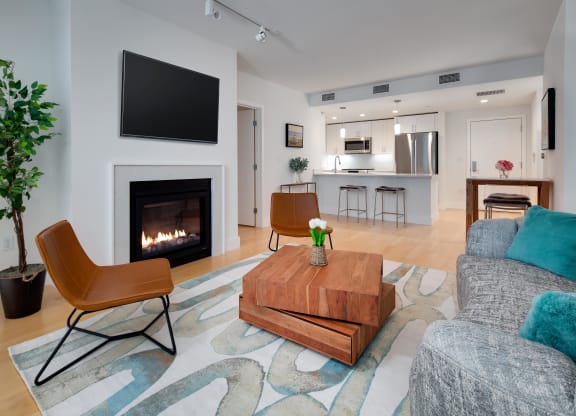 Living Room with TV and Sofa at Saint James Place, Cambridge, Massachusetts 02140